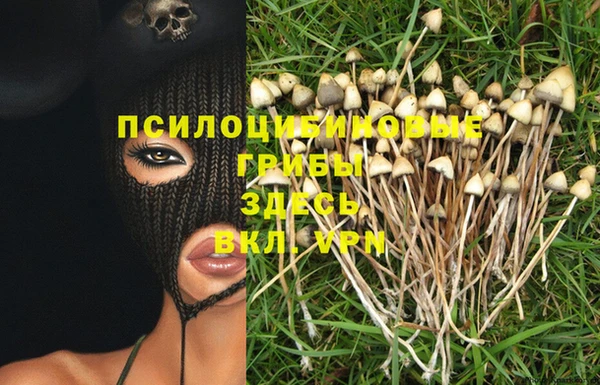 крисы Алексеевка