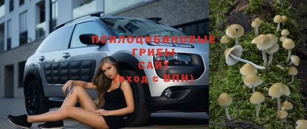крисы Алексеевка