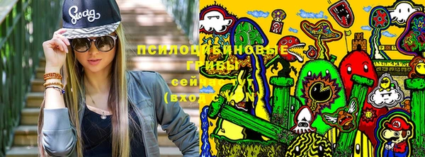 крисы Алексеевка