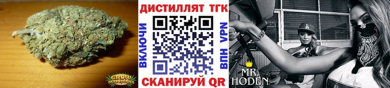 blacksprut ссылка  Игра  ТГК Wax 