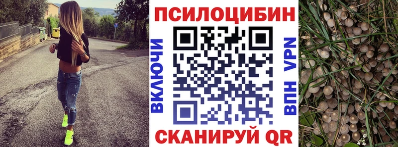 купить наркотик  Игра  Псилоцибиновые грибы ЛСД 