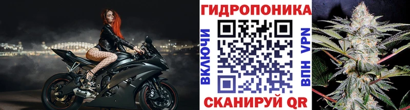 Конопля Amnesia  Игра 